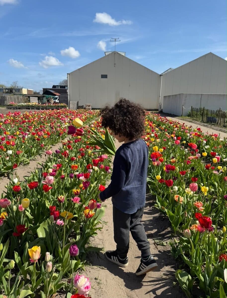 Een kind met een bos tulpen tussen de bloeiende tulpenvelden